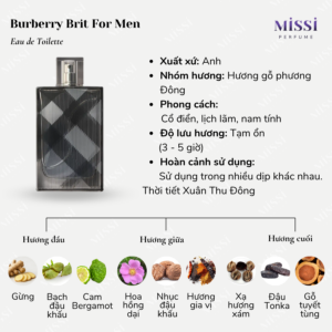 Burberry-Brit-For-Men-EDT-02
