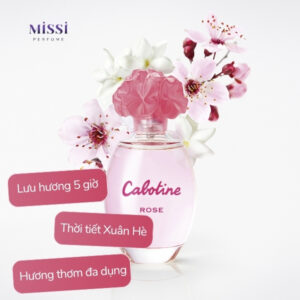 Cabotine-Rose-04