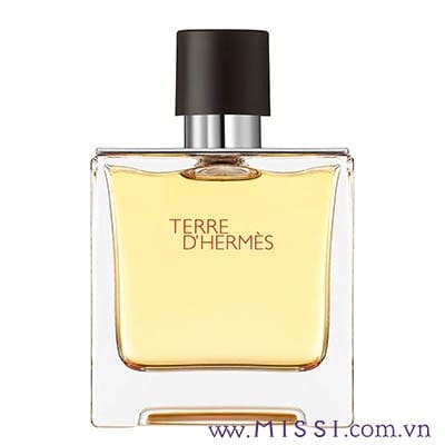 Hermes Terre D’hermes Paris (edp)