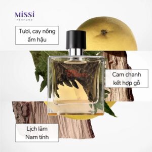 Terre-d-Hermes-Parfum-03