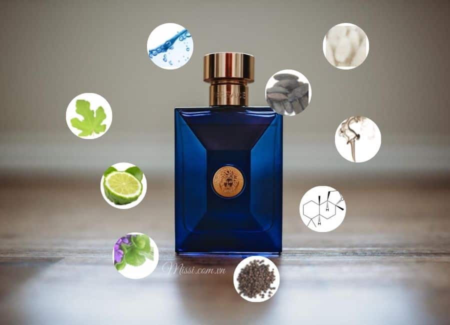 Versace Dylan Blue Missi Perfume