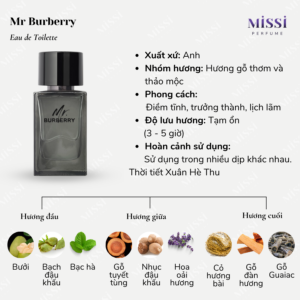 Mr-Burberry-EDT-02