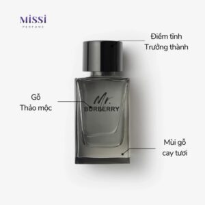 Mr-Burberry-EDT-03