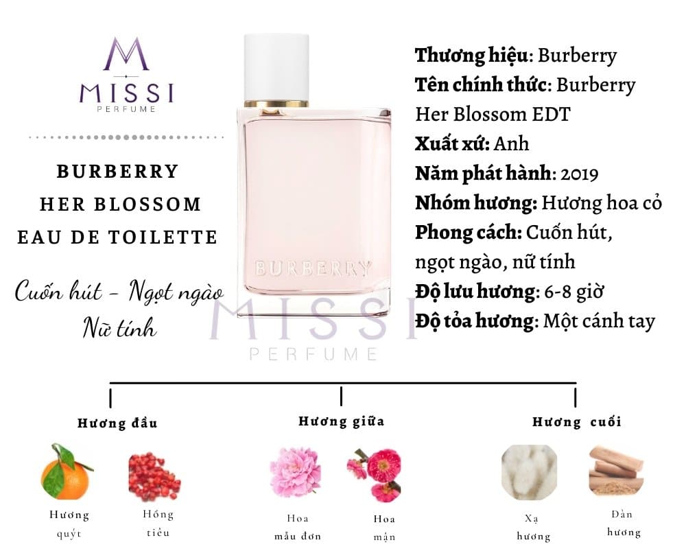 Infographic Burberry Her Blossom Missi Perfume