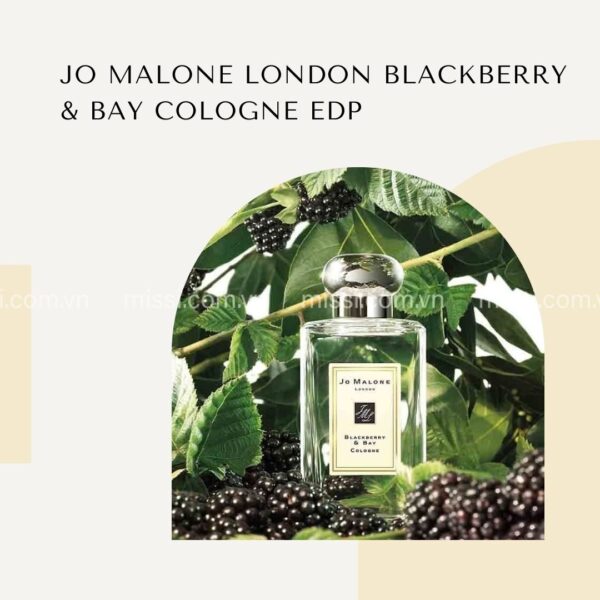 Jo Malone London Blackberry Bay Cologne Edp 4