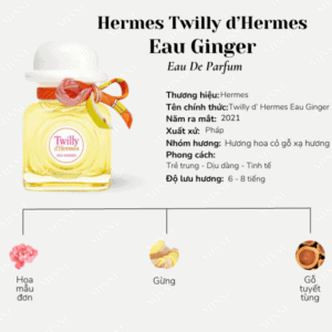 Hermes Twilly dHermes Eau Ginger1 1 1