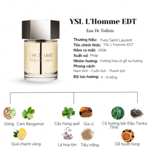 YSL L’Homme EDT+1