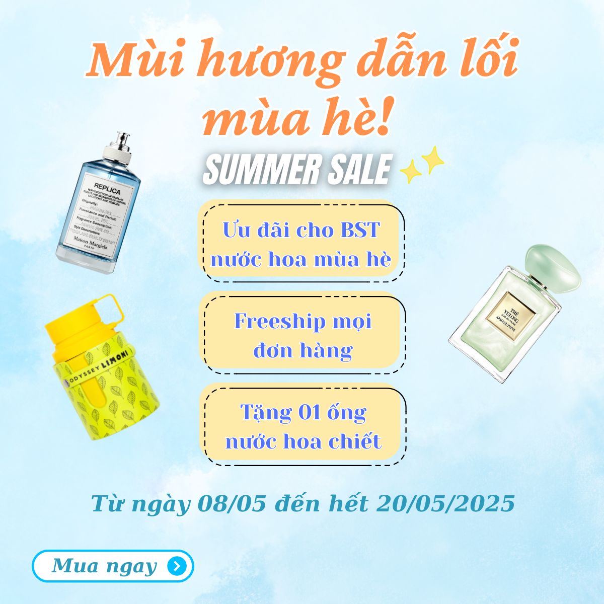 banner ms t5