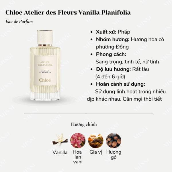 Chloe-Atelier-des-Fleurs-Vanilla-Planifolia-02