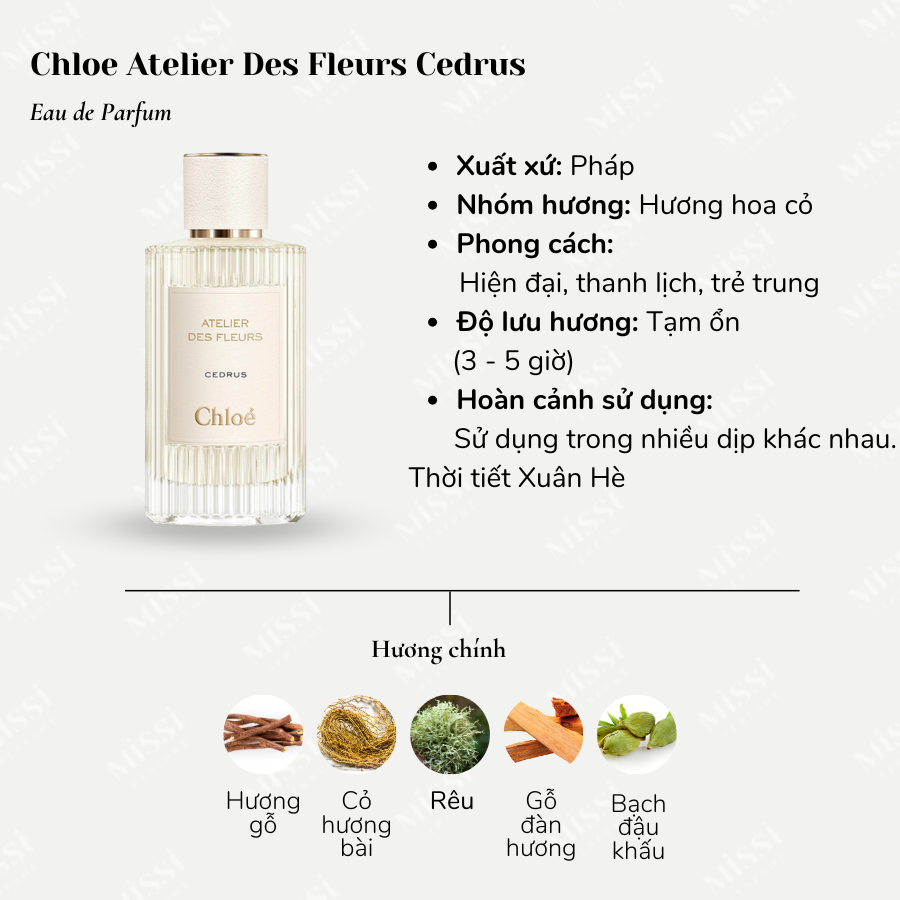 Chloe-Atelier-Des-Fleurs-Cedrus-02