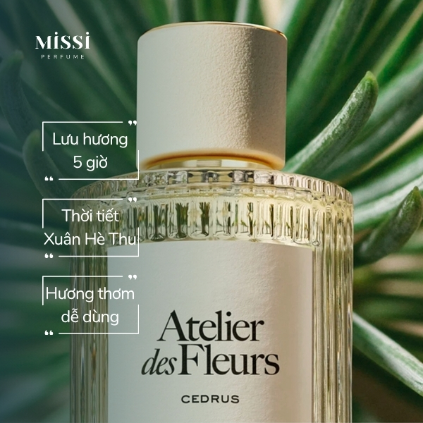 Chloe-Atelier-Des-Fleurs-Cedrus-04