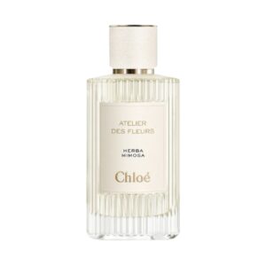 Chloe-Atelier-Des-Fleurs-Herba-Mimosa-01