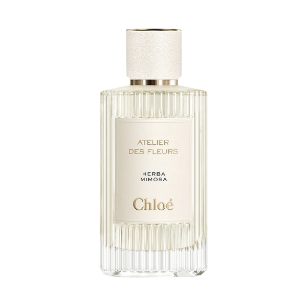 Chloe-Atelier-Des-Fleurs-Herba-Mimosa-01