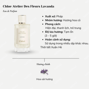 Chloe-Atelier-Des-Fleurs-Lavanda-02