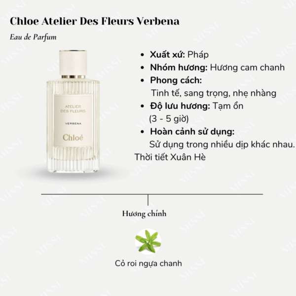 Chloe-Atelier-Des-Fleurs-Verbena-02