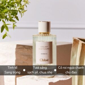 Chloe-Atelier-Des-Fleurs-Verbena-03