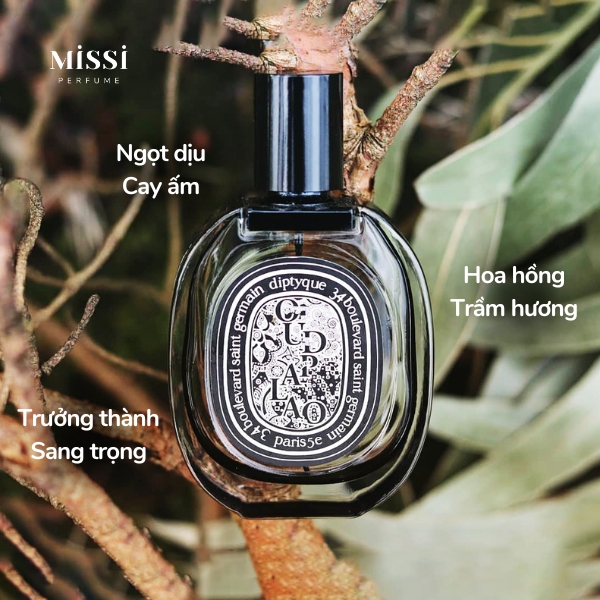 Diptyque-Oud-Palao-EDP-03