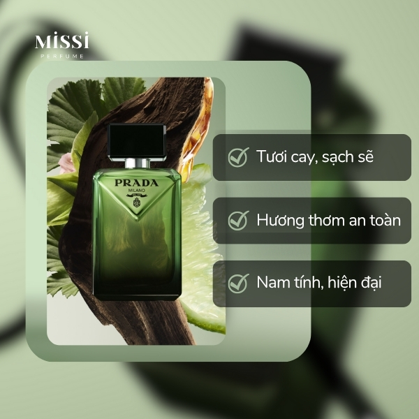 Prada-Paradigme-EDP-03