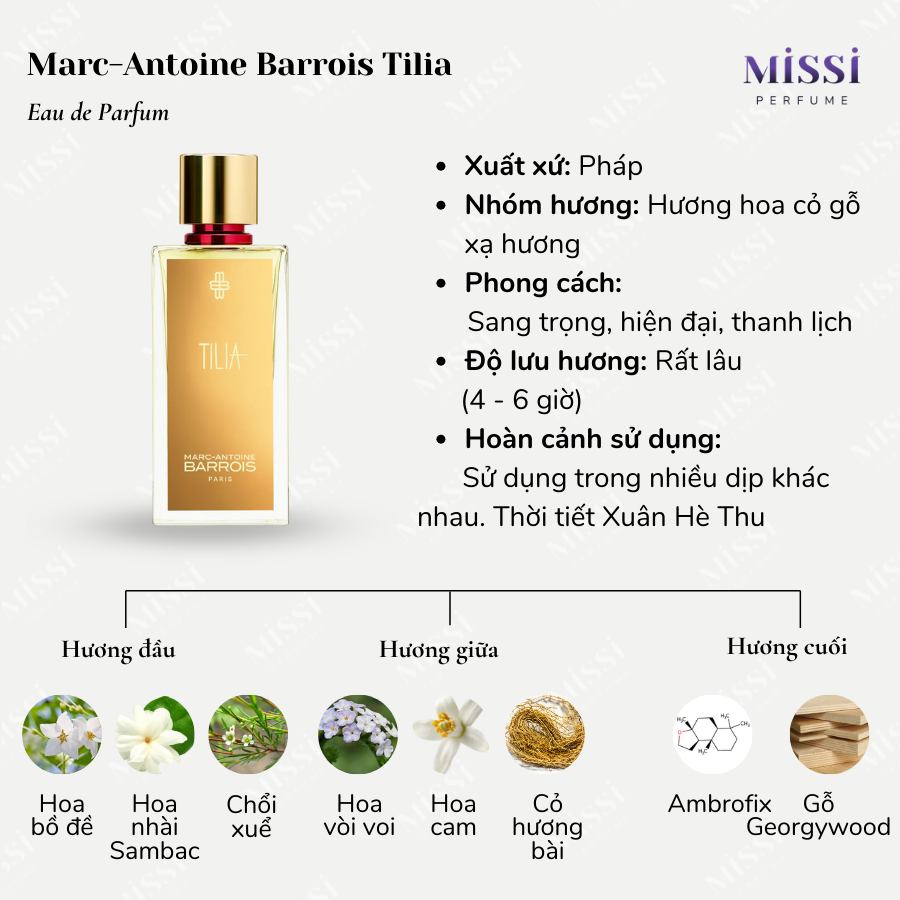 Marc-Antoine-Barrois-Tilia-02