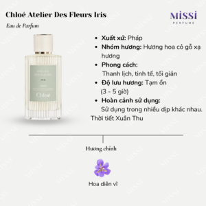 Chloe-Atelier-Des-Fleurs-Iris-02