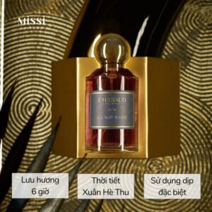 La-Nuit-Danse-Extrait-4