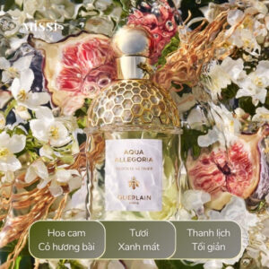 Guerlain-Aqua-Allegoria-Nerolia-Vetiver-EDT-03