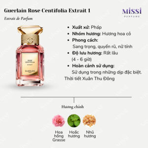 Guerlain-Rose-Centifolia-Extrait-1-02