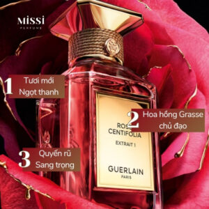 Guerlain-Rose-Centifolia-Extrait-1-03