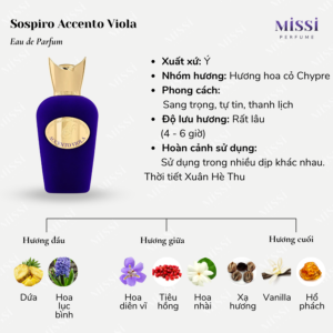 Sospiro-Accento-Viola-02