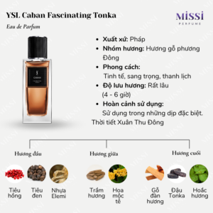 YSL-Caban-Fascinating-Tonka-02
