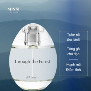 D-Annam-Through-The-Forest-03