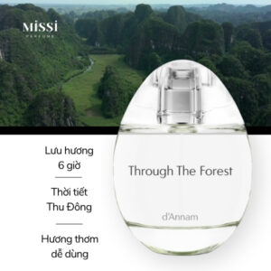 D-Annam-Through-The-Forest-04