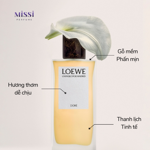 Loewe-Un-Paseo-Por-Madrid-Dore-EDP-03