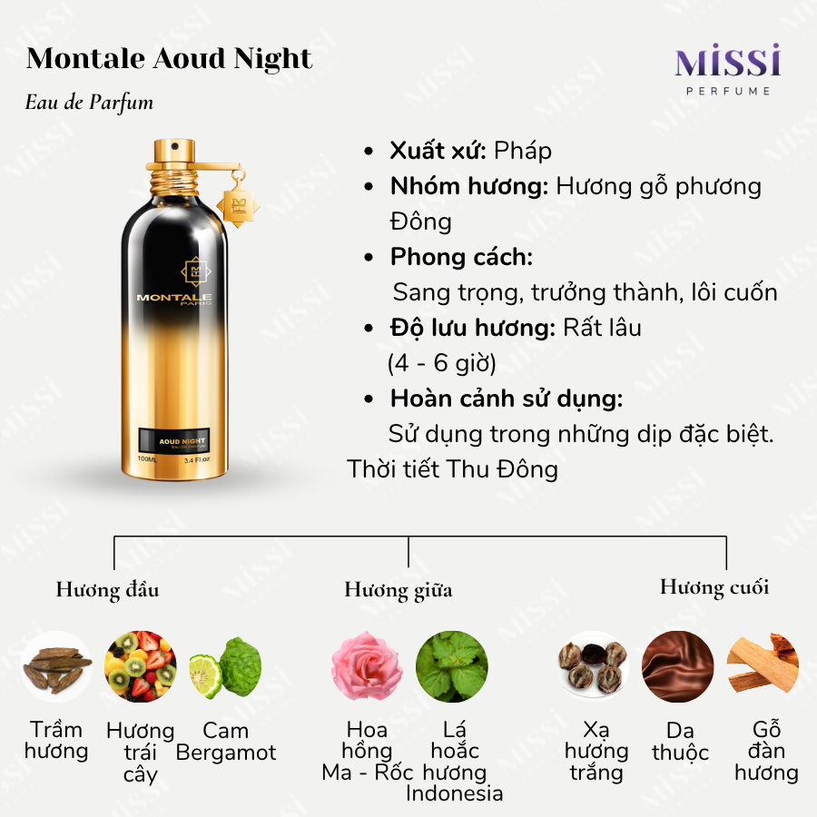 Montale-Aoud-Night-02