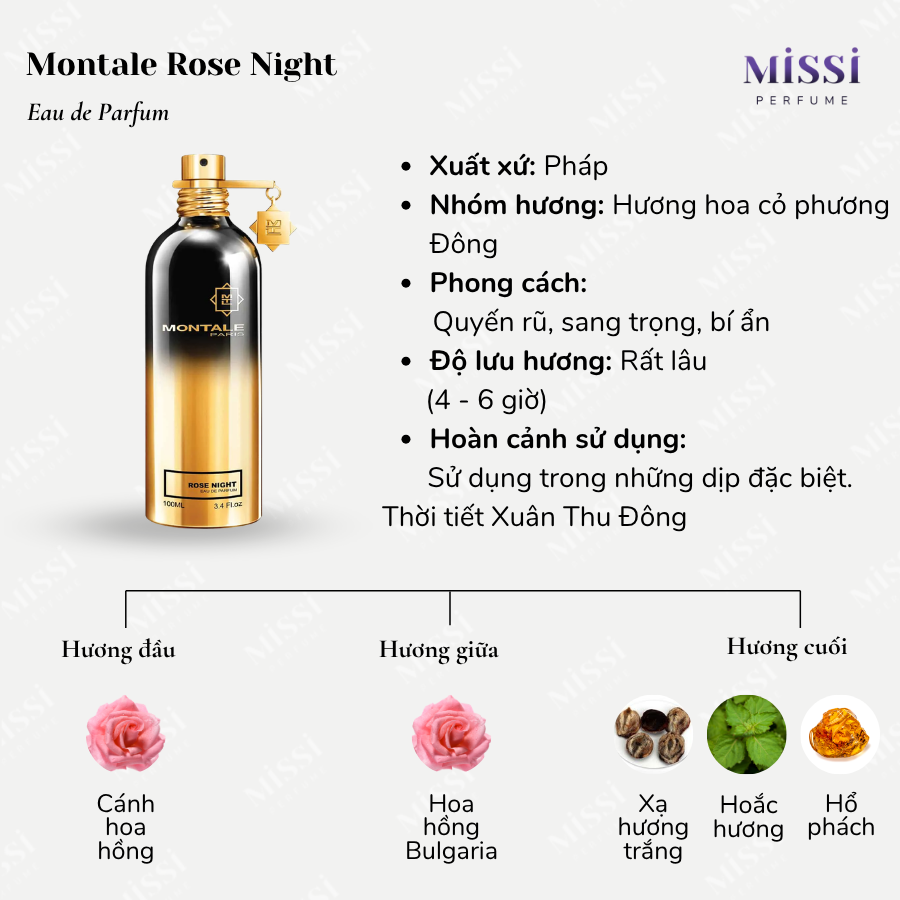 Montale-Rose-Night-02