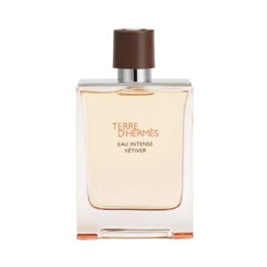 Terre-d-Hermes-Eau-Intense-Vetiver-EDP-01