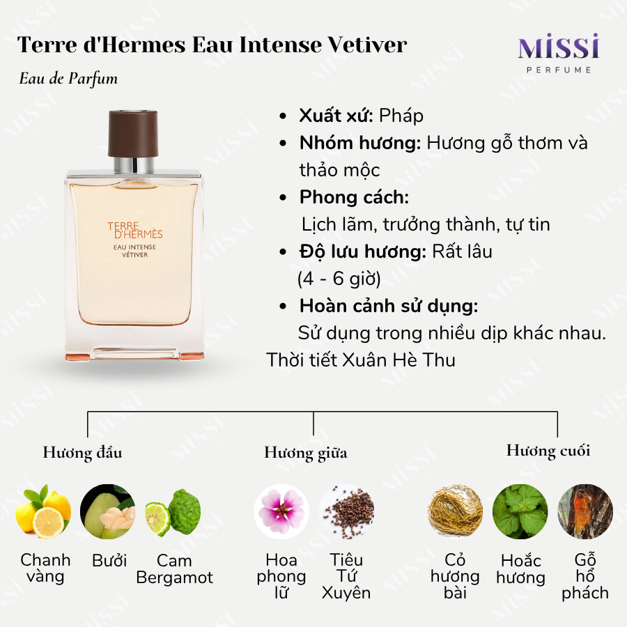 Terre-d-Hermes-Eau-Intense-Vetiver-EDP-02