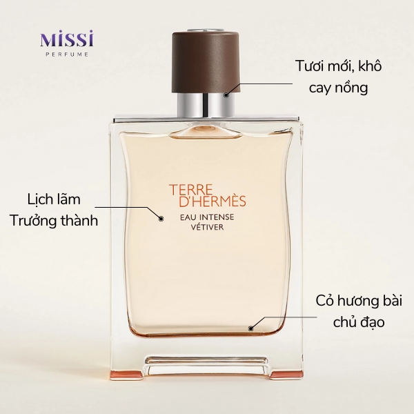 Terre-d-Hermes-Eau-Intense-Vetiver-EDP-03