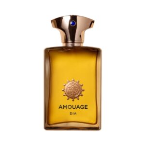 Amouage-Dia-Pour-Homme-EDP-01