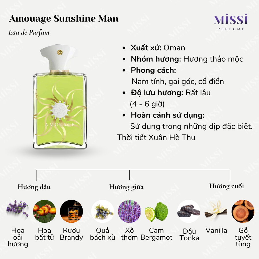 Amouage-Sunshine-Man-EDP-02