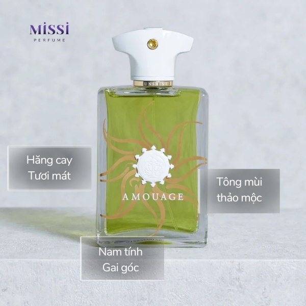 Amouage-Sunshine-Man-EDP-03