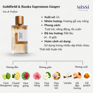 Goldfield-&-Banks-Ingenious-Ginger-02