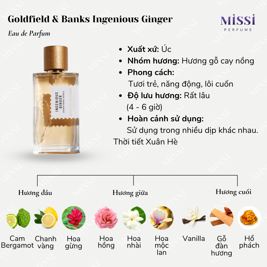 Goldfield-&-Banks-Ingenious-Ginger-02