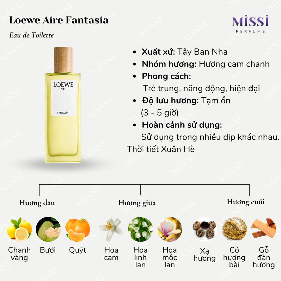 Loewe-Aire-Fantasia-02