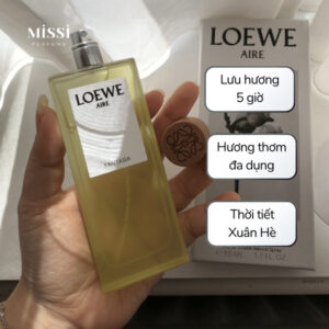 Loewe-Aire-Fantasia-04