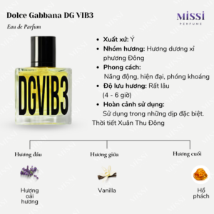 Dolce-Gabbana-DG-VIB3-02