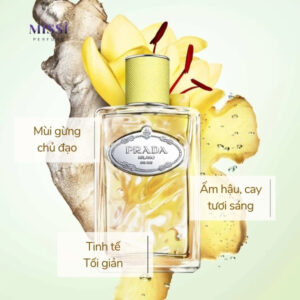 Prada-Infusion-De-Gingembre-EDP-03
