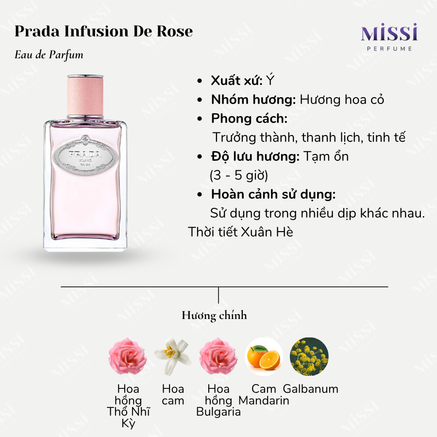 Prada-Infusion-De-Rose-EDP-02