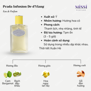 Prada-Infusion-De-d-Ylang-EDP-02