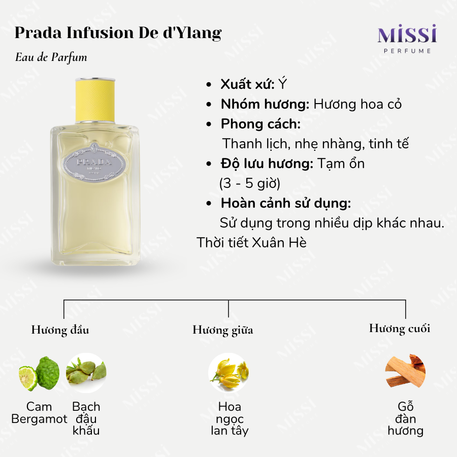 Prada-Infusion-De-d-Ylang-EDP-02